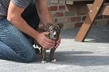 ADULTE ET CHIEN 418